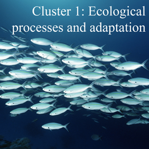 Cluster 1: Ecological processes and adaptation