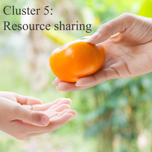 Cluster 5: Resource charing